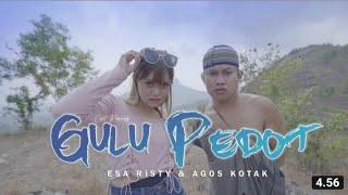 Esa Risty feat Agos Kotak - Gulu Pedot Official Video Music