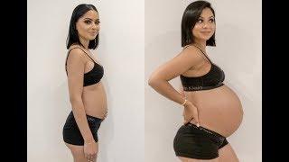 PREGNANCY TRANSFORMATION Week by Week 11-39