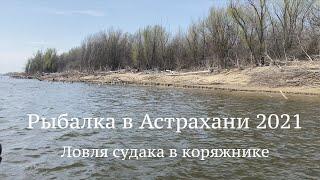Рыбалка в Астрахани 2021. Ловля СУДАКА в КОРЯЖНИКЕ