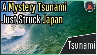 A Mystery Tsunami Just Struck Japan What Caused this Sudden Wave?