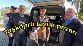 Kastamonu Taşköprü tavuk pazarı haftalık güncel fiyatlar 11102024