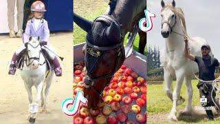 The Cutest HORSES Equestrian TikTok Compilation #164