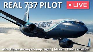 46th Alpaca Airways Group Flight  Cancun – Havana Crossfire  ZIBO MOD 737  X-Plane 12