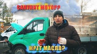 Почему САПУНИТ и ЖРЕТ масло дизельный двигатель Газель Некст. Картерные газы. Раскоксовка