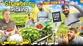 Strawberry Picking in Uk Village Farm  England Walu Ki Hard Life  Manor Fruit Farm in Tamworth