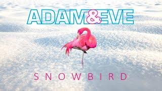 Adam & Eve - Snowbird Official lyric video