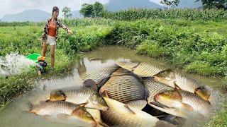 Fishing videos Girl uses a machine to drain a natural lake to catch big fish to sell at the market