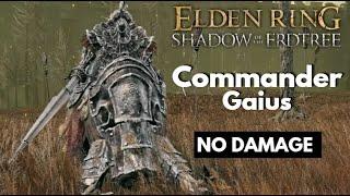 Elden Ring Shadow of the Erdtree I Commander Gaius I No Damage