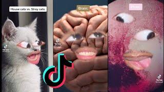 Dimpey6 Tik Tok Compilation June 2021  Funniest Dimpey6 Tik Tok Times