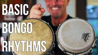 How to Play Bongo Drums Basic Martillo for Beginners