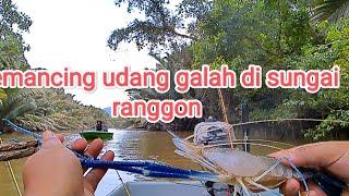 #vlog67 Rezeki mancing udang  pengkalan ranggon