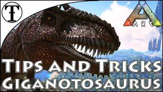 Fast Giganotosaurus Taming Guide  Ark  Survival Evolved Tips and Tricks