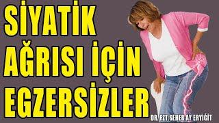 SİYATİK AĞRISI EGZERSİZLERİ #aktifizyo #belağrısı #fiziktedavi #siyatik