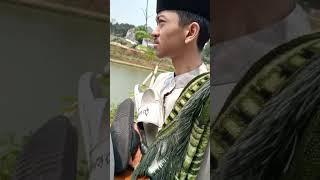 GA PAHAM #shorts  #tawangakak #trending #viral  #videolucubikinngakakterbaru #videongakakterbaru