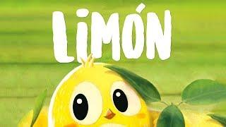 Limón se presenta - Tu primer novela