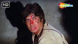 CLIMAX - अमिताभ की सुपरहिट मूवी कालिआ का क्लाइमेक्स - Kaalia - Amitabh Bachchan Parveen - HD