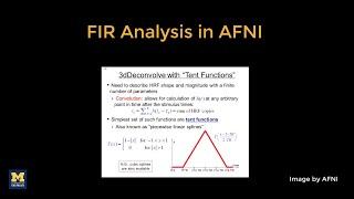 Finite Impulse Response FIR Analysis in AFNI