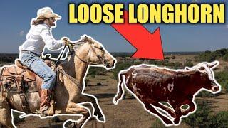 ROPING A LOOSE LONGHORN - Rodeo Time 309