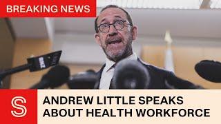 How Health Minister Andrew Little plans to help #NewZealands health workforce crisis  Stuff.co.nz