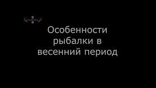 Тактика и техника ловли белой рыбы в апреле. Советы начинающим рыболовам.