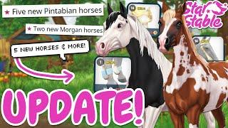 5+ NEW PINTABIAN HORSES IN STAR STABLE & MORGANS 