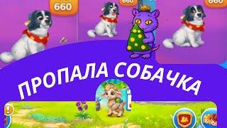 Пропала собачка по кличке Купата  Ёлочка 2024  MAgIC SEAsONS qWwWq