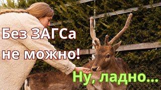 Российские женщины ставят рога супругам  Почему так? #shorts