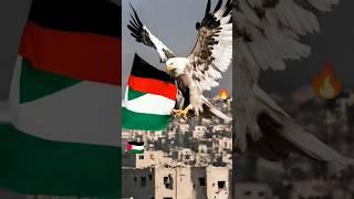 Burung Garuda di Palestina #garuda #burunggaruda #shorts #viral #palestina