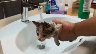 The dirtiest kitten ever takes her first bath Epic Transformation