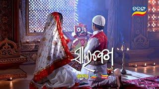 Salabega ସାଲବେଗ  Coming Soon  Tarang TV  Tarang Plus