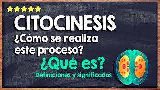  ¿Qué es la Citocinesis? - Cómo se Realiza este Proceso en las Células 