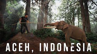 Aceh Indonesia - Menarik BANGAT Budaya Aceh Tidur dengan GAJAH