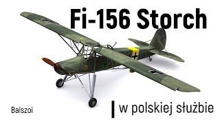 Fi-156 Storch  w polskiej służbie