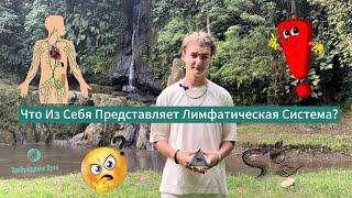 Что Такое Лимфатическая Система в Теле Человека? #лимфа #йога #кундалини #дьявол #саморазвитие