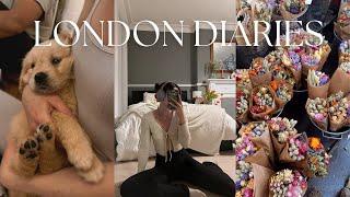 LONDON DIARIES getting back into my routine organizing my closet + puppy yoga