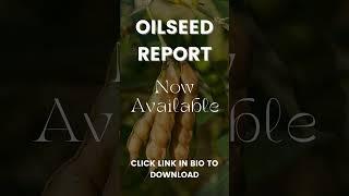 Oilseed Report