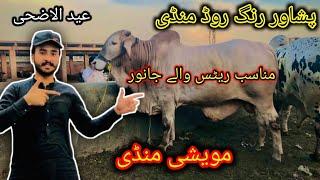 Maweshi Mandi Ring Road Peshawar Latest Updates Baray Or Chotay Janwar Munasib rates Bakra Eid 2024