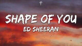 Ed Sheeran - Shape Of You Lyrics