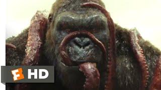 Kong Skull Island 2017 - Kong vs. Giant Squid Scene 310  Movieclips