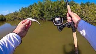 Fishing Florida Backwaters for Redfish and Snook with a Fluke