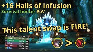 +16 halls of infusion  Survival hunter PoV  World of warcraft  Pre-patch the war within