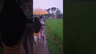 SUASANA PEDESAAN KETIKA DI HUJAN DI SORE HARI #shortvideo #pedesaan #viral #jawabarat #shorts