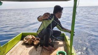 MANCING DASARSTRIKE BERUNTUN IKAN KAKAP GT DAN KERAPU SUNU BABON