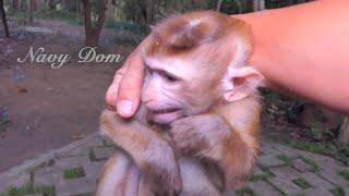 Successfully takes new boy Carlos to sleep in a tree Sovana also helps teach him how to sleep.