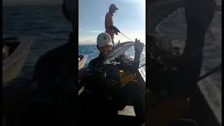 SENSASI STRIKE SAAT MANCING BIKIN NAGIH