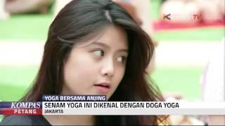Doga Yoga Yoga Dengan Anjing Kesayangan