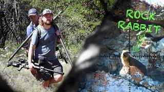 Hunting the Cliffsides Hyrax & Monkeys vs High Power Airguns  Baviaanskloof Hunting Series pt.2