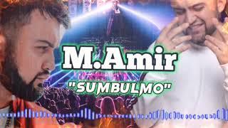 М.Амир песня Сумбулмо 2024  M.Amir  Sumbulmo 2024