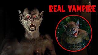 असली वैम्पायर पकड़ा गया  Vampire attacks in real life  Real vampire video  Real Dracula footage