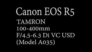 2021.03.12 CANON EOS R5 TAMRON 100-400mm F4.5-6.3 Di VC USD Model A035 from CROSSLAND クロスランドおやべ